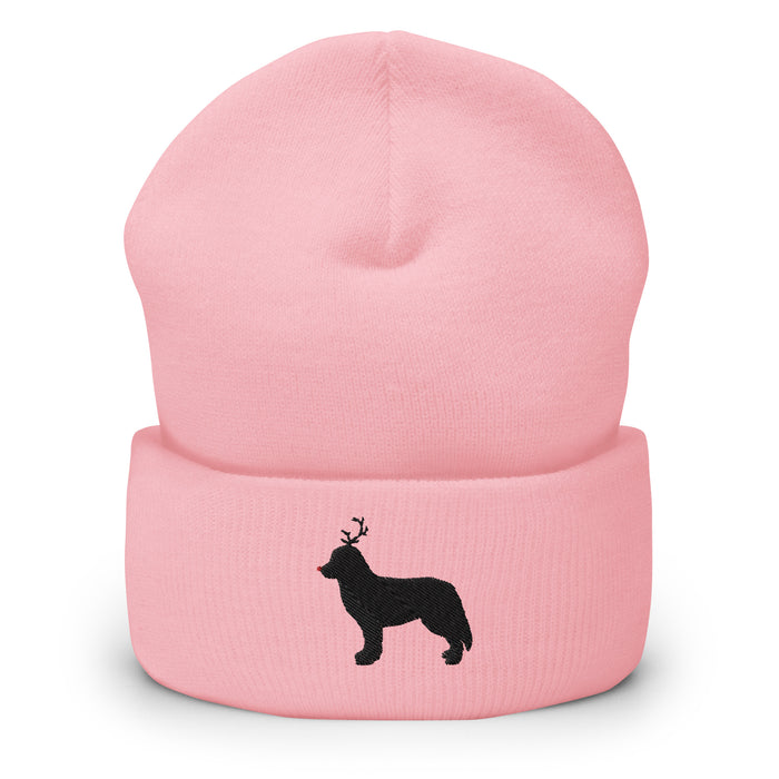 "The Red-Nosed Berner" Beanie