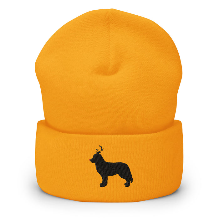 "The Red-Nosed Berner" Beanie