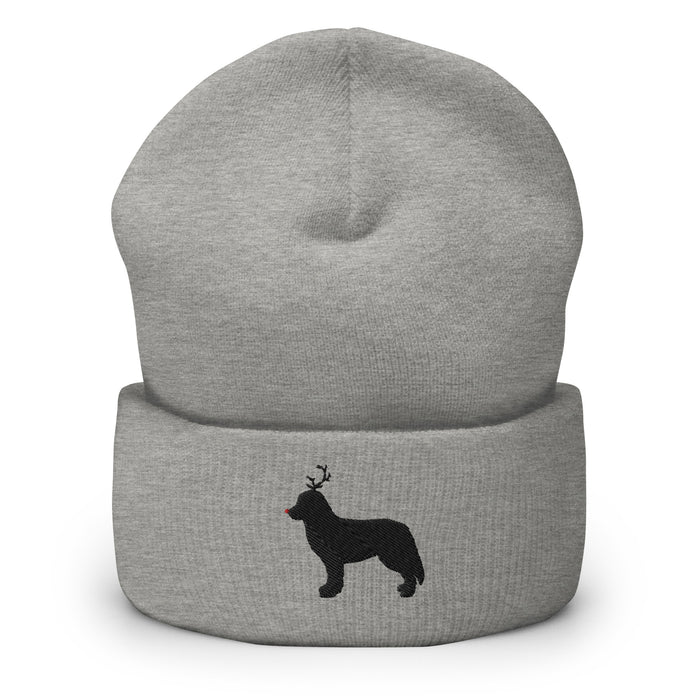 "The Red-Nosed Berner" Beanie
