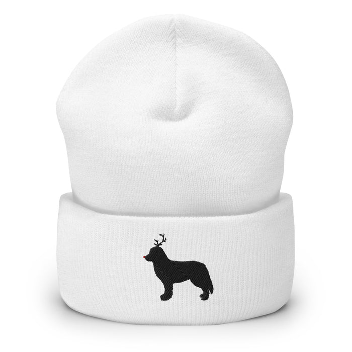 "The Red-Nosed Berner" Beanie