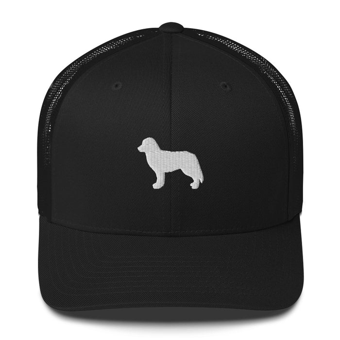 Signature Ball Cap