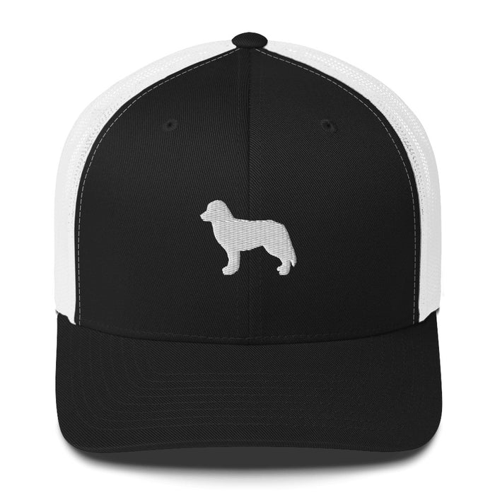 Signature Ball Cap
