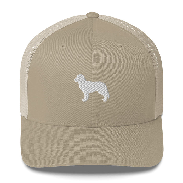 Signature Ball Cap