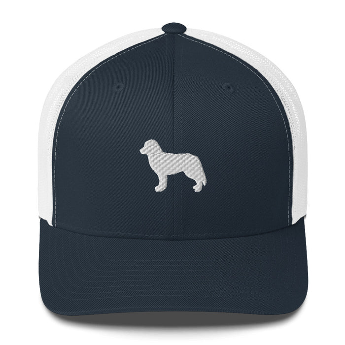 Signature Ball Cap