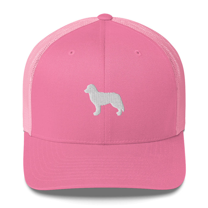 Signature Ball Cap