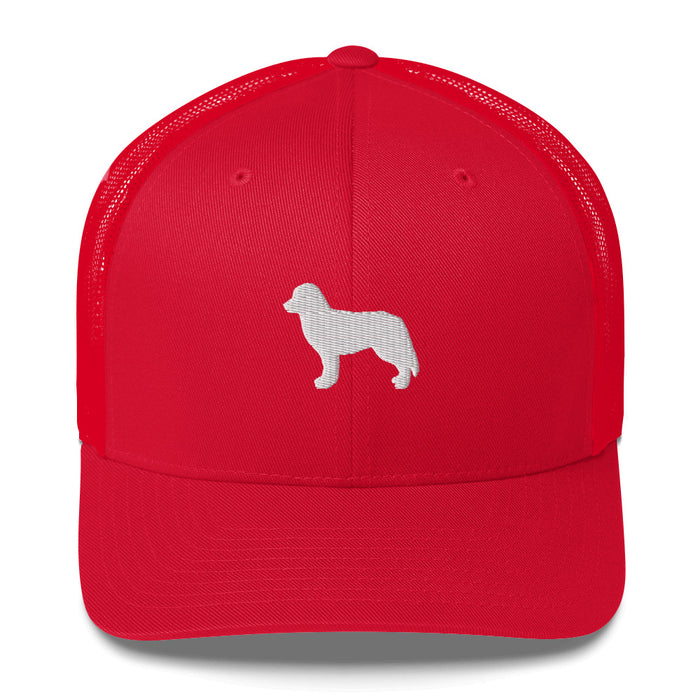 Signature Ball Cap