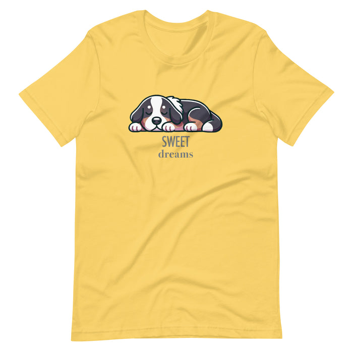 Dreams ADULT Tee