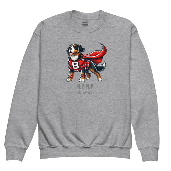 Superhero Youth Sweatshirt