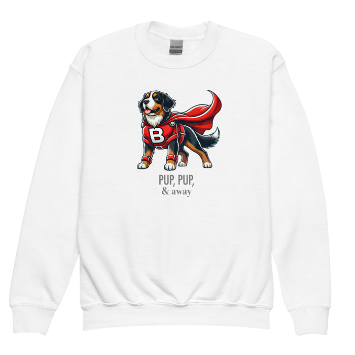 Superhero Youth Sweatshirt